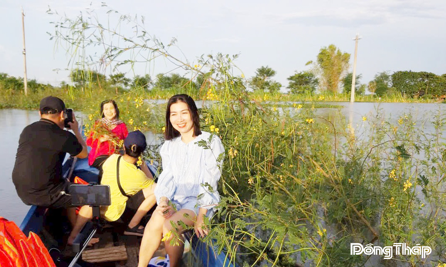 Mùa nước nổi ở miền Tây là thời điểm bông điên điển trổ rực rỡ sắc vàng, làm mê đắm lòng người.
