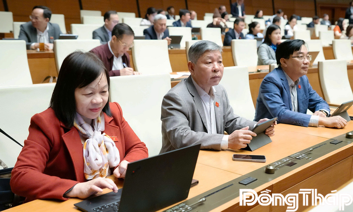 ĐBQH tỉnh Đồng Tháp dự phiên thảo luận